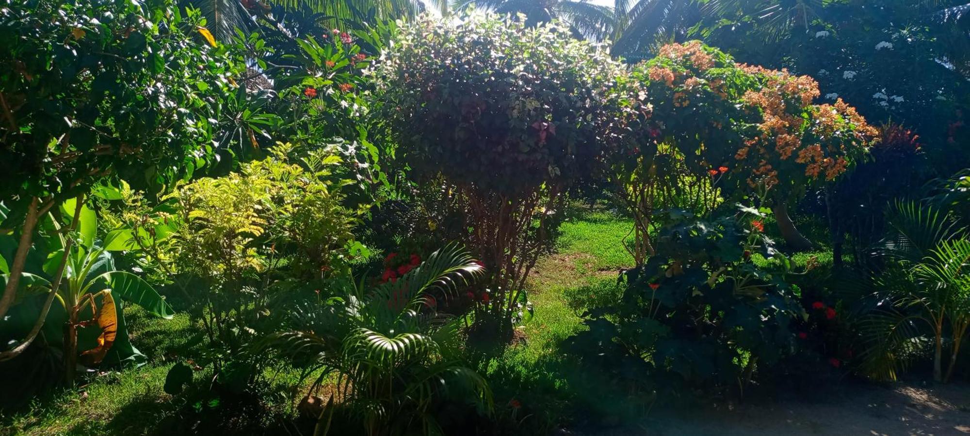 Piscine Bimoko Nosy-Be Exterior foto